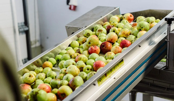 Comment une brasserie fabrique-t-elle du cidre ?