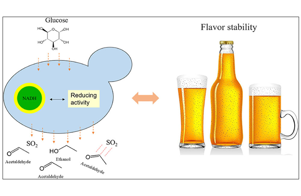 craft brewery equipment,miccraft brewery equipment， microbrewery equipment suppliers